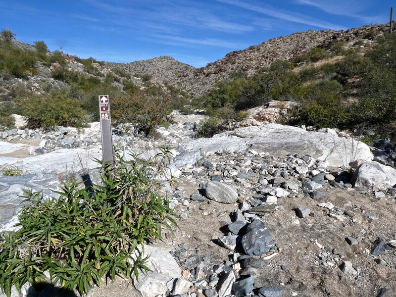 2,334'; 5-mile marker.  This is 5 miles from the Ford Canyon Trailhead.  At this point I've hiked 6.8 miles from where I started.  These are the kind of sign posts to be looking for up ahead & continue down this wash.