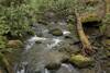 A large bridge crosses the creek just past campsite 93.