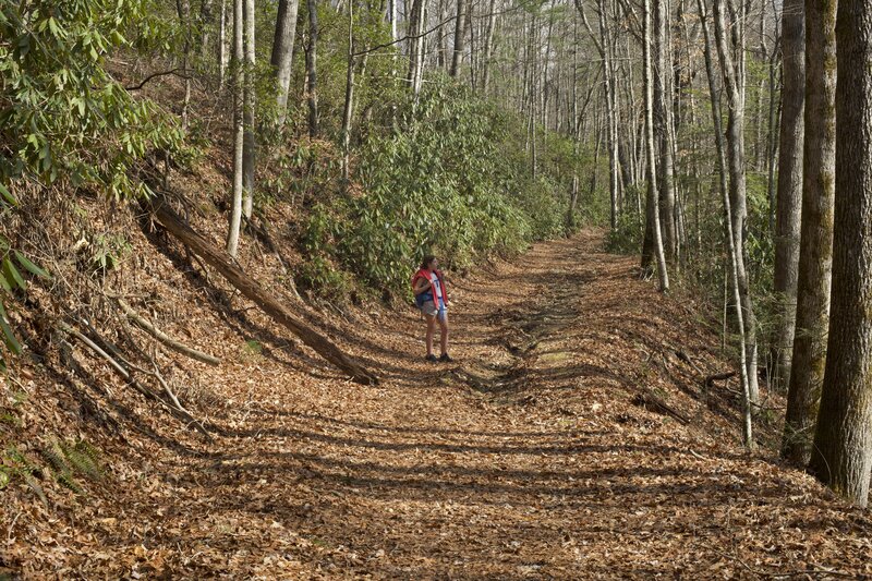 Stopping to enjoy the view on a steeper section of trail as the trail approaches the junction with Twentymile Loop Trail and Long Hungry Ridge Trail.