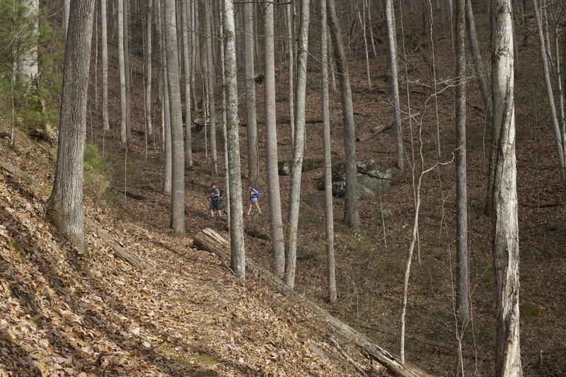 The trail is narrow through this section and climbs along the ridges under a canopy of trees. Here, two hikers descend from Twentymile Trail toward Wolf Ridge Trail