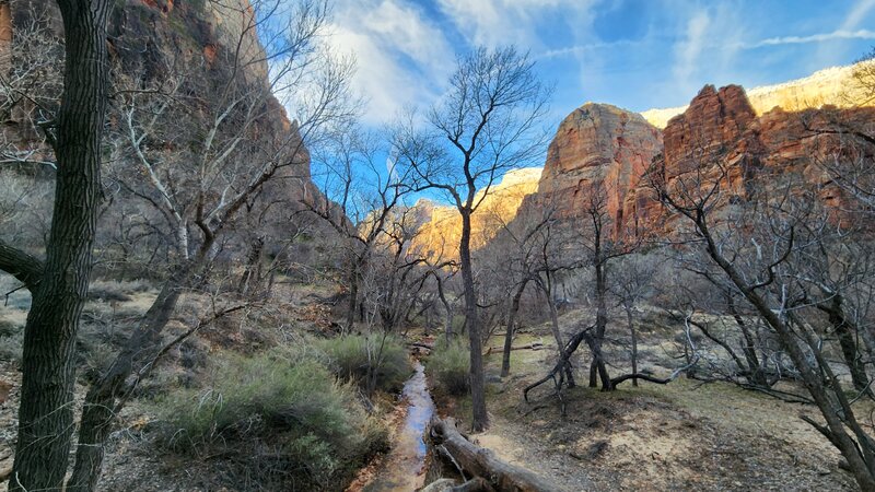 View from the trail.