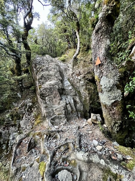 It's hard to overstate the difficulty of the grade and terrain. Be careful and take your time to be sure of your footing. The descent is at least as long as the ascent.