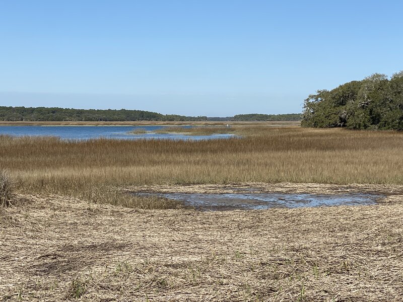 Swamp Marsh at Pinckney Island National Wildlife Refuge.