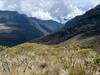 Looking up the valley