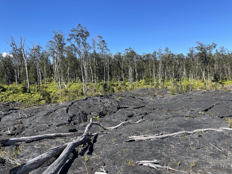 End of the official trail - lava fields start