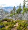 View of the South Fork of the Merced River Gorge from the Bishop Creek Trail