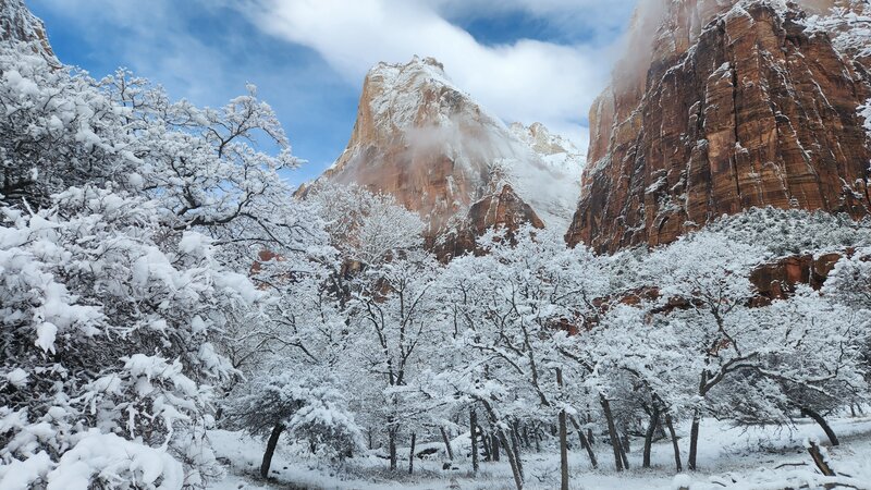 View from the trail