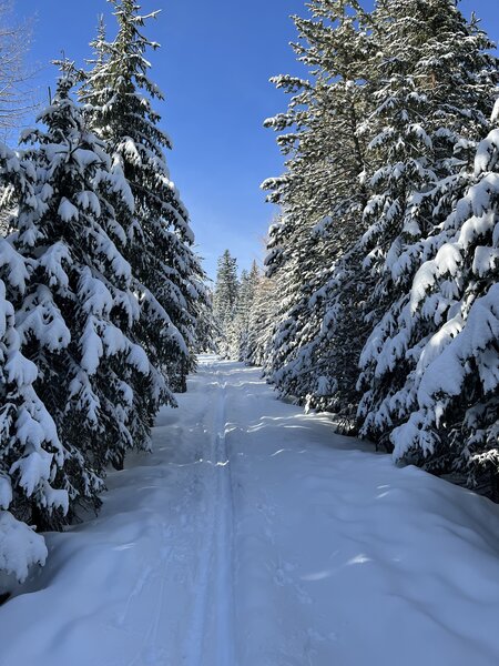 Prairie Loop off of Marker B with great snow conditions.