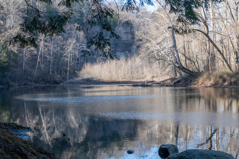 Looking out at the pond