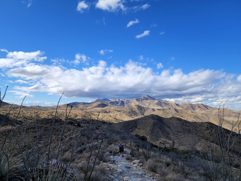 On the Overlook Ridge Trail with Government Mountain in the distance.