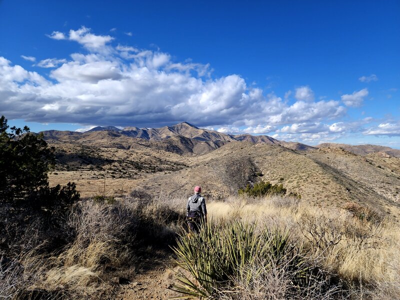 Government Mountain from the Overlook Ridge Trail.