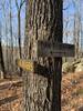 Where Dan Beard Loop meets Biggers Trail.