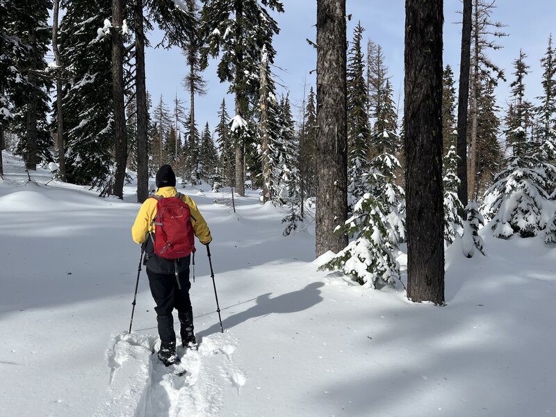 Snowshoeing through fresh powder snow.