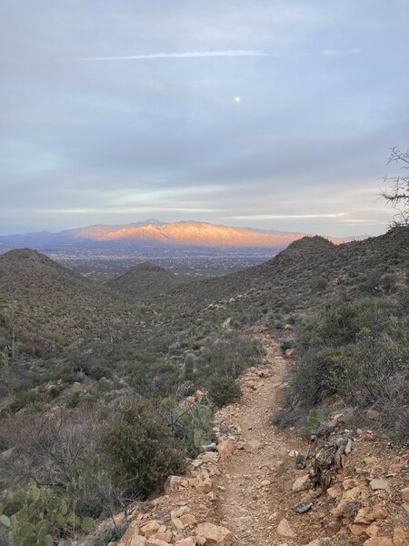 Looking back east to Catalinas.