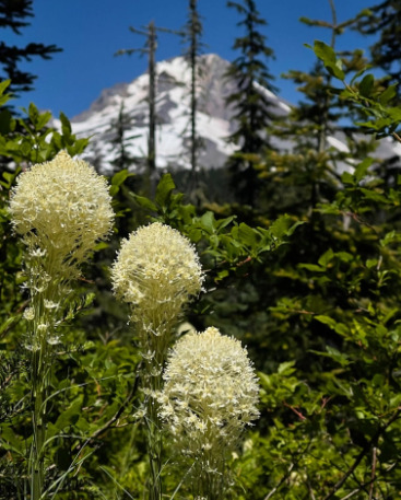 View from trail.