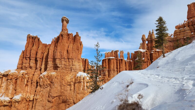 View from the trail