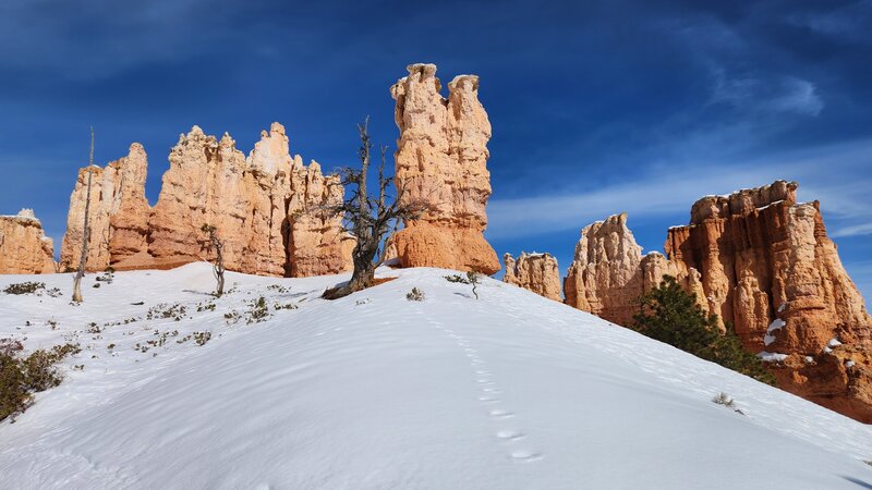 View from the trail