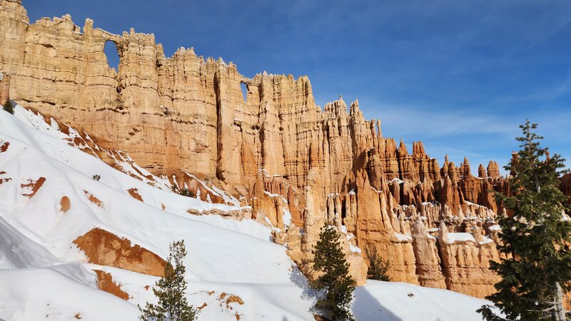 View from the trail.