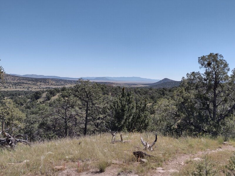 Typical view and local scenery on the Datil Well Trail.