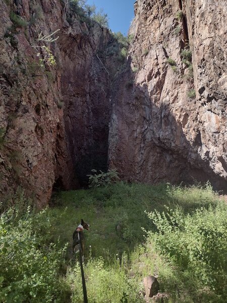 Approaching the narrow box and spring in 6 mile canyon.