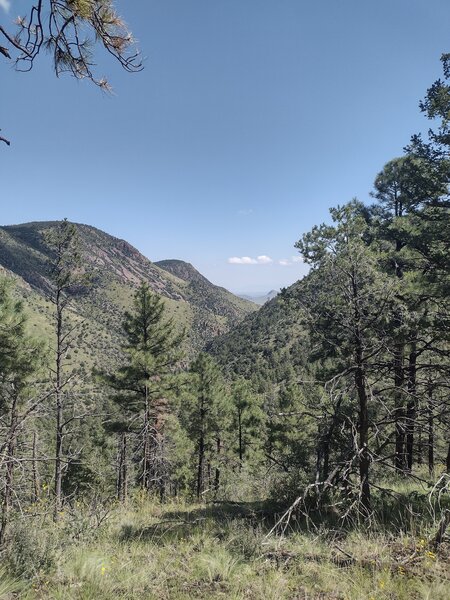 View to the east down South Canyon.