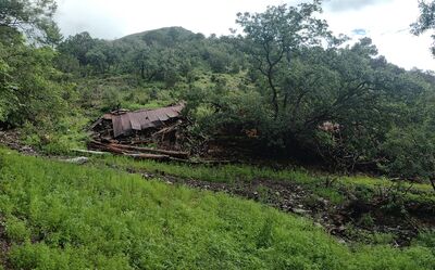 Abandoned logger's cabin.