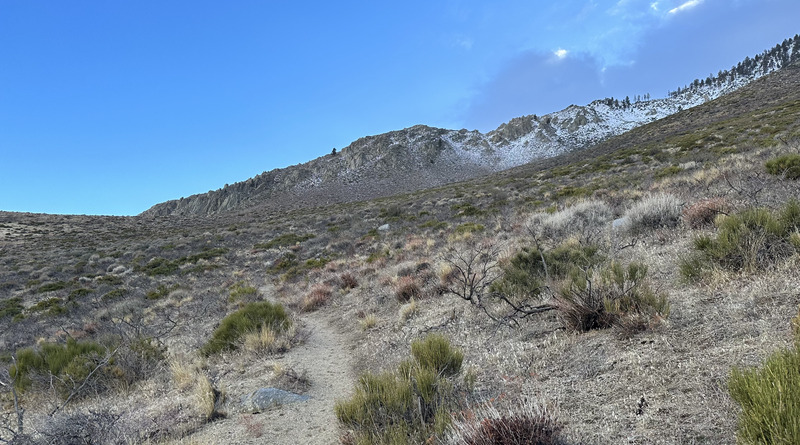 Looking up sawmill pass.