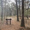 1808 Trail wood direction sign at the Buttonwood Hill Campground.