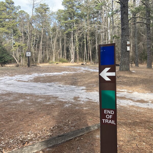 Green Blaze (End Of Trail) for the 1808 Trail terminus and Blue Blaze for the Buttonwood Camp Connector Trail at the Buttonwood Hill Campground