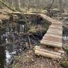 Curved Full Log boardwalk over a small stream along the 1808 Trail (Green Blaze).