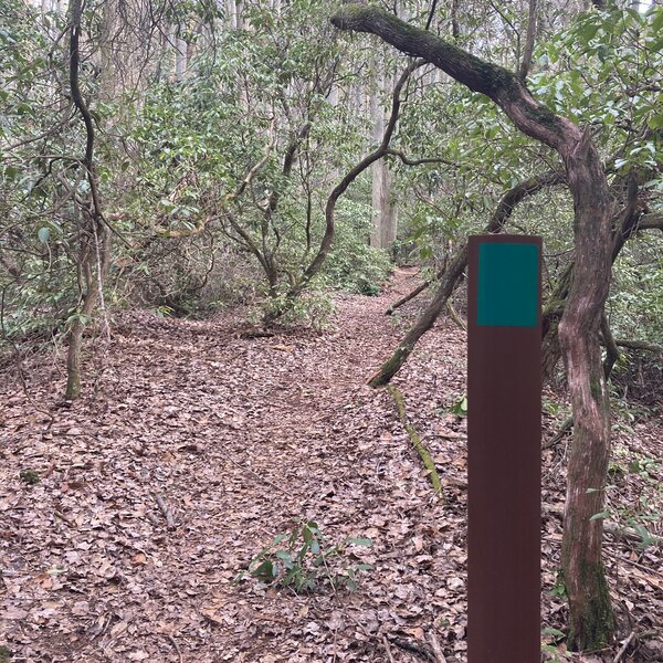 Green Blaze along a tunnel section of the 1808 Trail.