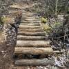 Half Log boardwalk along the wetlands section of the Sand and Water Trail (Orange Blaze).