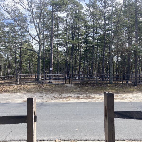 Sand and Water Trail approach at Batsto Road