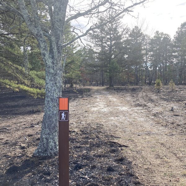 Sand and Water Trail (Orange Blaze) in the meadow to the left and rear of the Batsto Visitor Center.