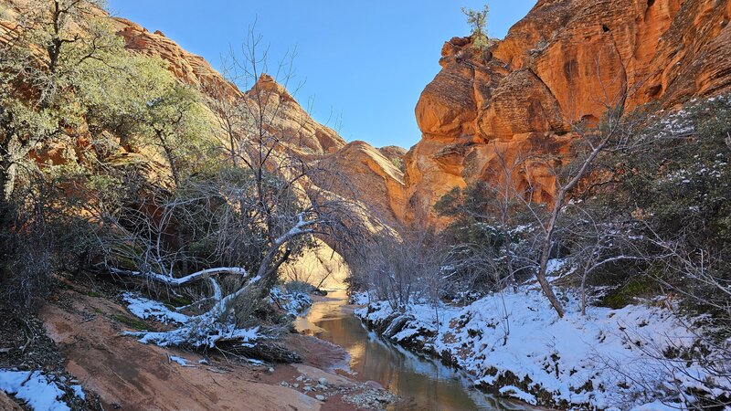 View from the trail