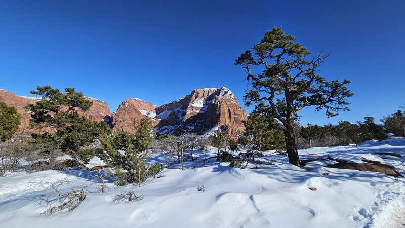 View from the trail.