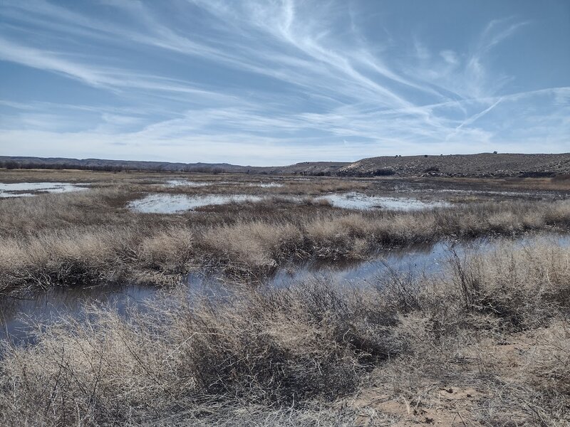 View from the Pond 5 Trail at the La Joya Wildlife Area.