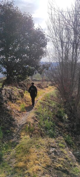 Trilho por baixo da estrada