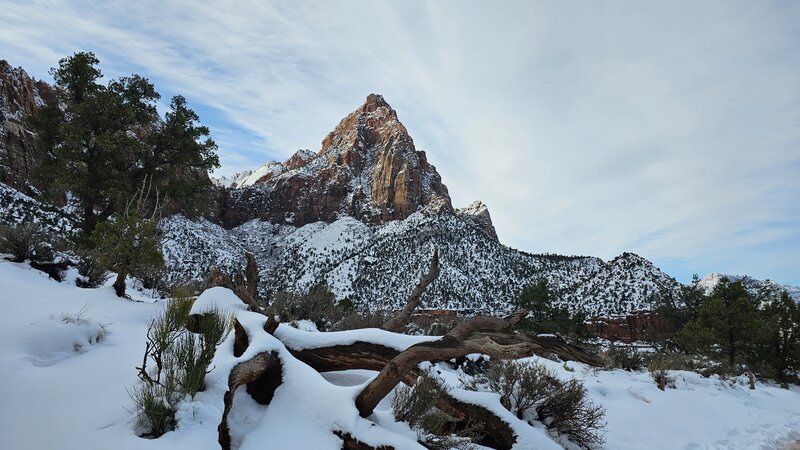 The Watchman Trail