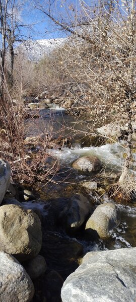 Bull Run Creek 1/2 mile in on Whiskey Flat Trail