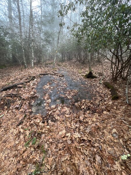 Another rock scramble section of Rock Mountain Trail.