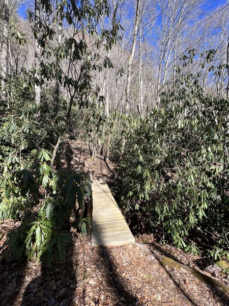 Footbridge at beginning of Grotto Trail.