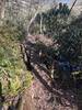 Footbridge on Lower Wetlands Trail.