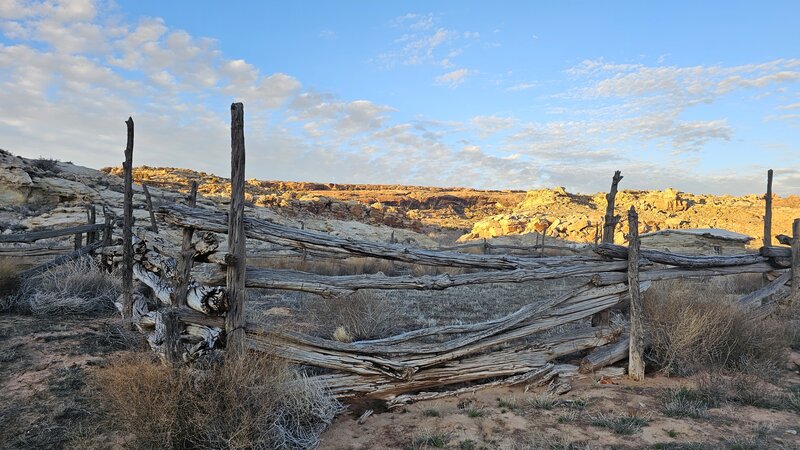 Fence at the Wolfe Ranch.