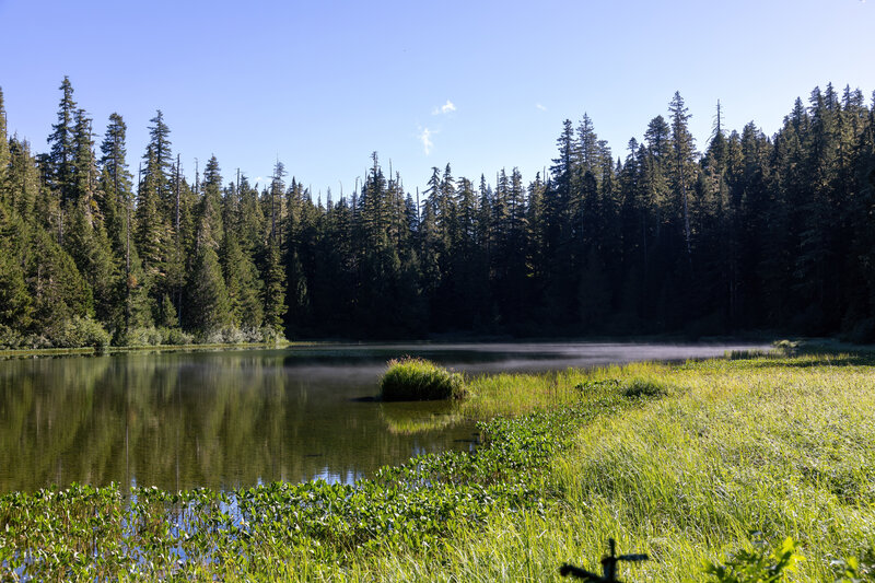 Mink Lake