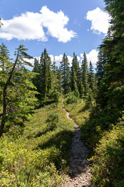 Little Divide Trail