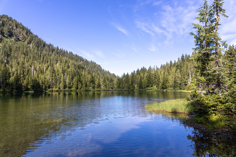 Deer Lake from the southern shore.