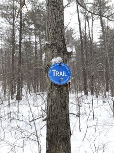 Trail marker