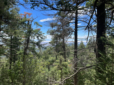 Sunspot Trail (T105B).