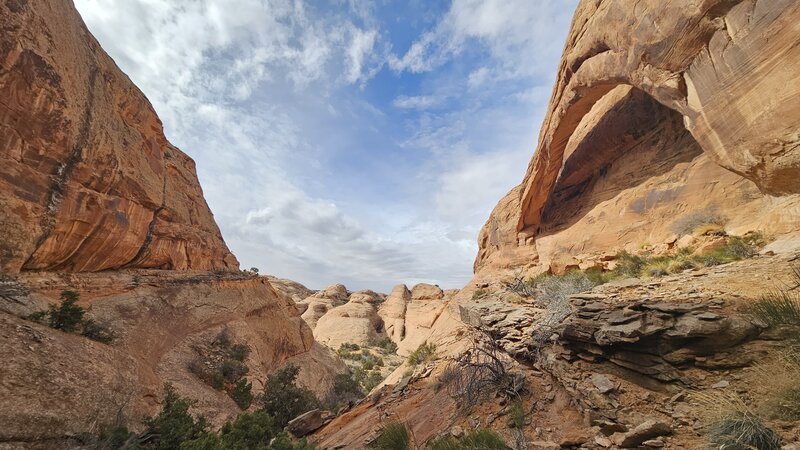 View from the trail.